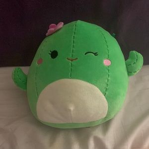 Cactus Squishmallow 🌵